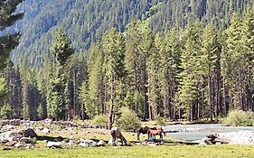 Kumrat Glamping Resorts